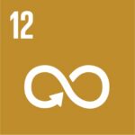 Icono del Objetivo de Desarrollo Sostenible 12 sobre consumo responsable