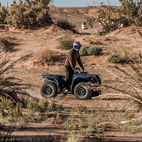 Conductor en quad recorriendo el oasis del Erg Chebbi entre palmeras, en una experiencia accesible y guiada con Sahara Buggy.